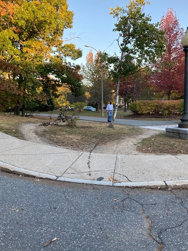 Beaumont_curbcut_1